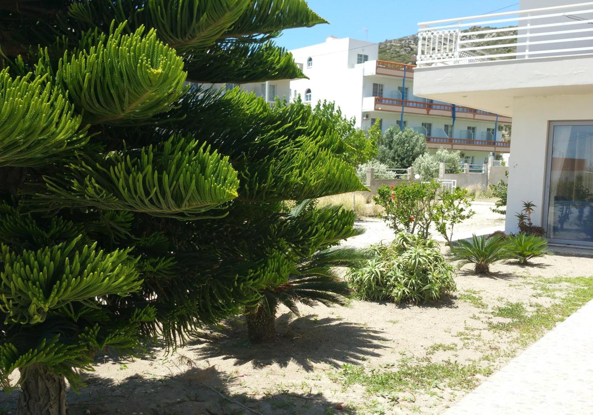Faliraki Dream Studios & Apartments מראה חיצוני תמונה