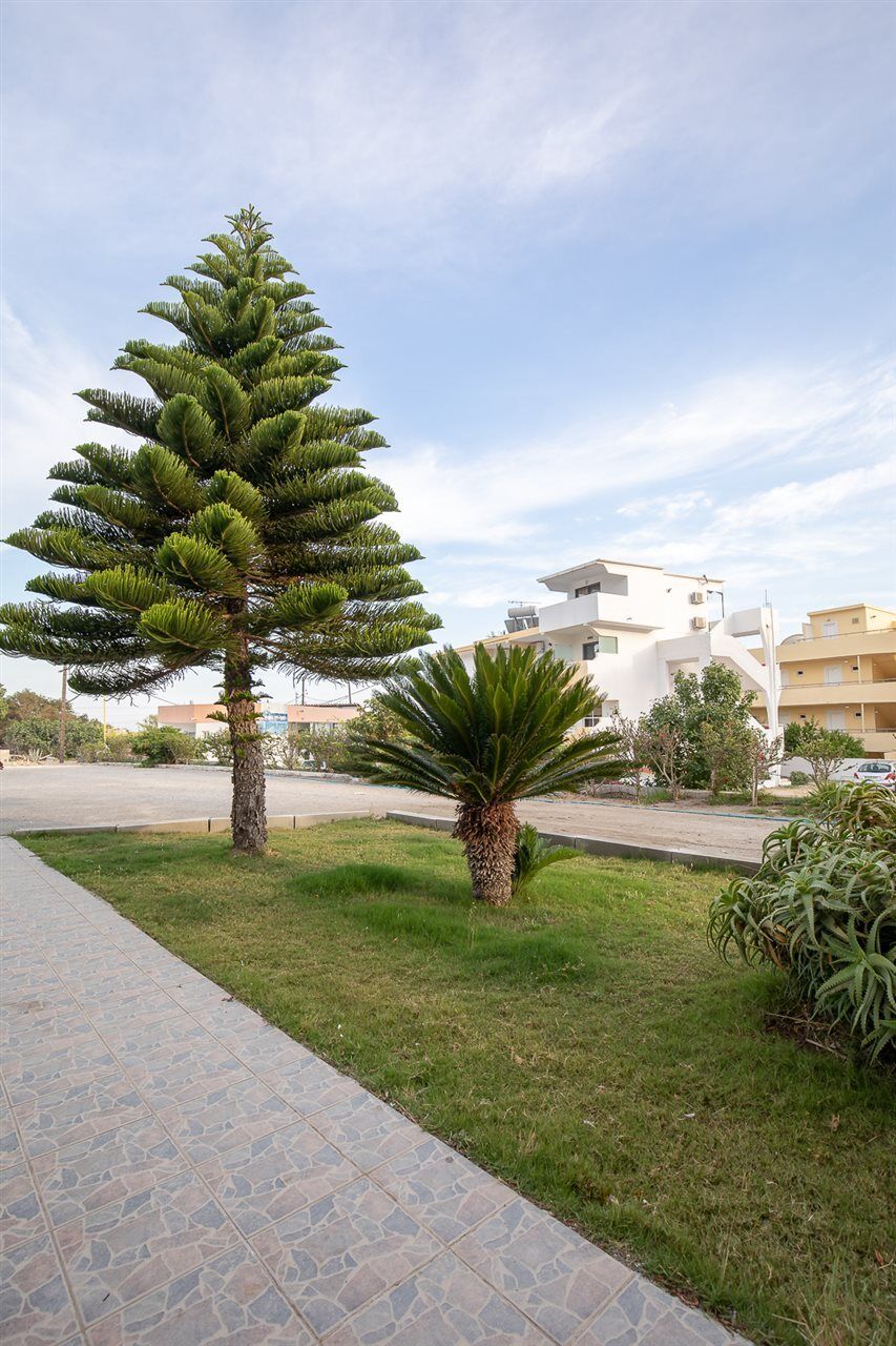 Faliraki Dream Studios & Apartments מראה חיצוני תמונה